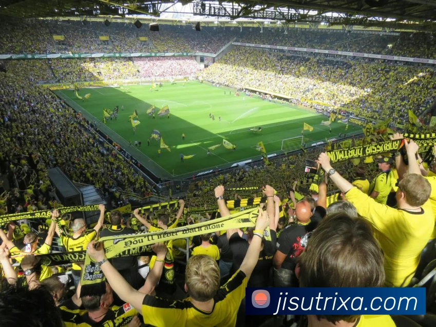 多媒体互动体验